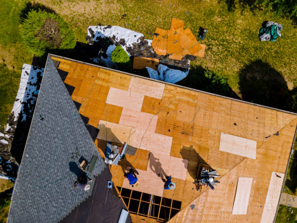 Best Metal Roofing Contractor  in Chisago City, MN